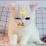 天时的头像