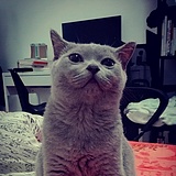 JaminZou的头像