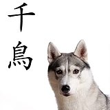 dantephoto的头像