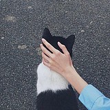 另尘的头像