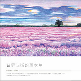 山下的樱花树的头像