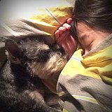 渺渺爱vicky的头像