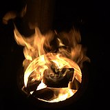 避避风的头像