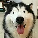docnc的头像