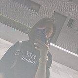 雷蒙斯与狗的头像