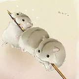 甚某某甚的头像