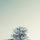 为什么要设计的头像