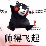 bingego的头像