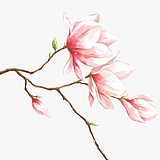 hikeri的头像