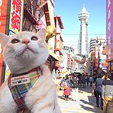 Rebeccan的头像