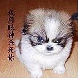 月影无殇的头像
