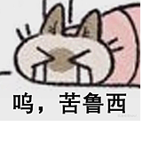 吴洞垚的头像