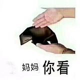 蜜蜂视觉_大彭的头像