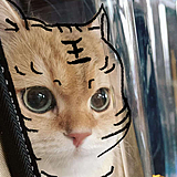 MoccaW的头像