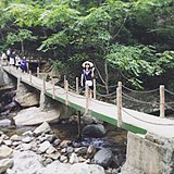 gaomimi的头像