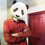 奇奇张的头像