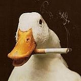 HushingY的头像