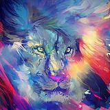 罗戈的头像
