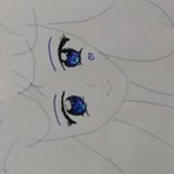 janesfh的头像