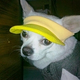 XiaomoSong