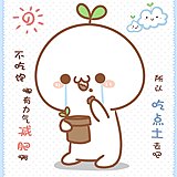 tina_shi的头像