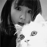 智小障的头像