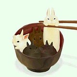 晓lex的头像