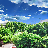 libra_wo的头像