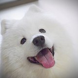 A时间A的头像