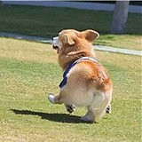 tlydream的头像