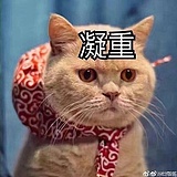 Winyiyyyyyyyyyyy的头像