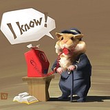 xiexuyu的头像