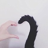 levenzz的头像
