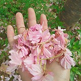 未来来的头像