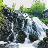 用戶頭像