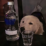 専心的头像