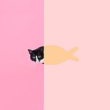 julieliu的头像