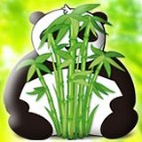 gonothing的头像