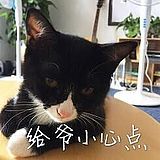 黑喵酱miky的头像