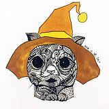 Lin_z的头像