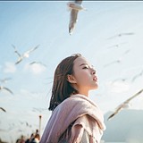beginner3的头像