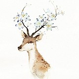 kamisamacg的头像