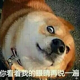 糊涂和邋遢的头像
