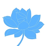 清莲123的头像