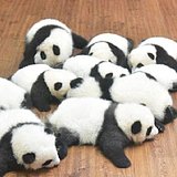 北北9310的头像