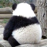 fengfangfang2012的头像