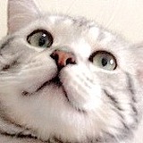 柑橘君的头像