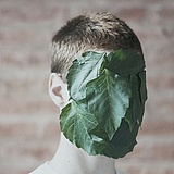 ultramarijn的头像