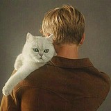猫小海HD的头像