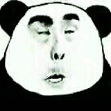 光脑瓜头儿的头像